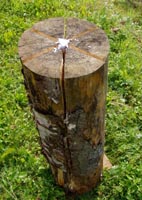 schwedenfackel3
